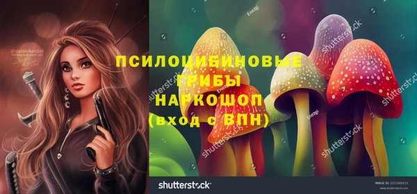 гашиш Новодвинск