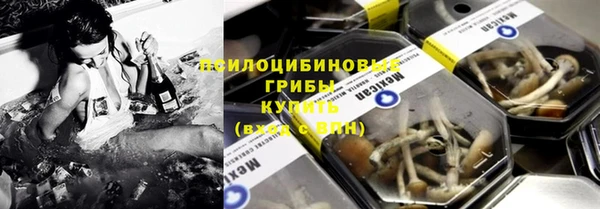 винт Няндома
