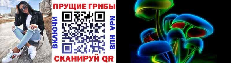 как найти закладки  Лебедянь  Галлюциногенные грибы Psilocybine cubensis 